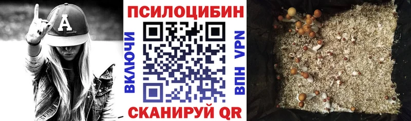 Галлюциногенные грибы Psilocybine cubensis  Купить закладки  Советская Гавань